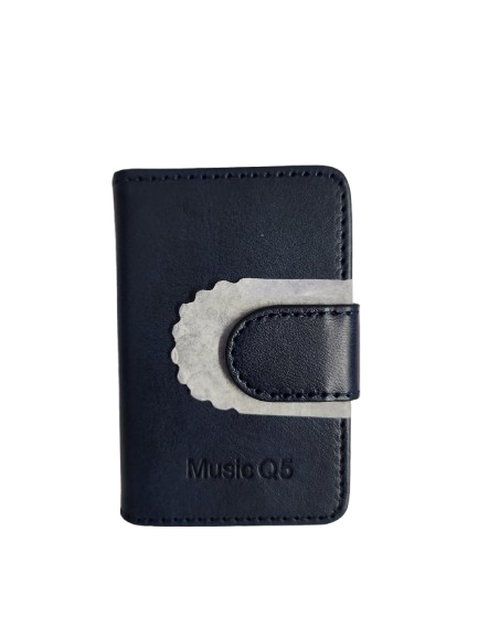 iPlatinum Leather Case for Music Q5