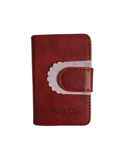 iPlatinum Leather Case for Music Q5